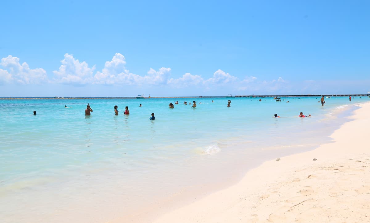 Libres de sargazo, 56 playas de Quintana Roo