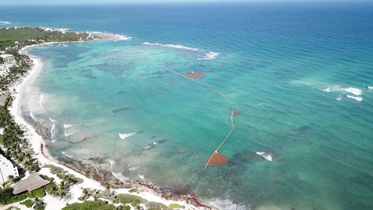 Proponen hoteles de Tulum estímulos fiscales para seguir invirtiendo en barrera sargacera