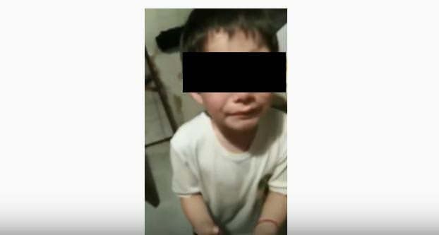 VIDEO: Niño atropella a una hormiga y su reacción se hace viral