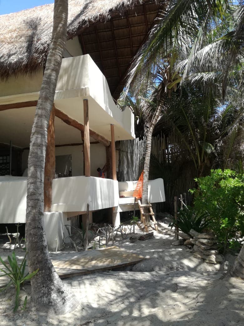 Clausura Profepa hotel en Tulum por daños al medio ambiente