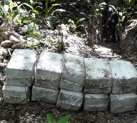 Encuentran casi una tonelada de cocaína, en medio de la selva, en Chetumal