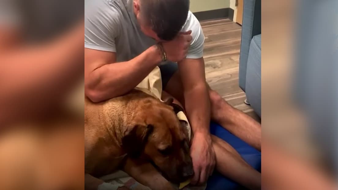Un hombre llora mientras le da de comer a su perrito por última vez