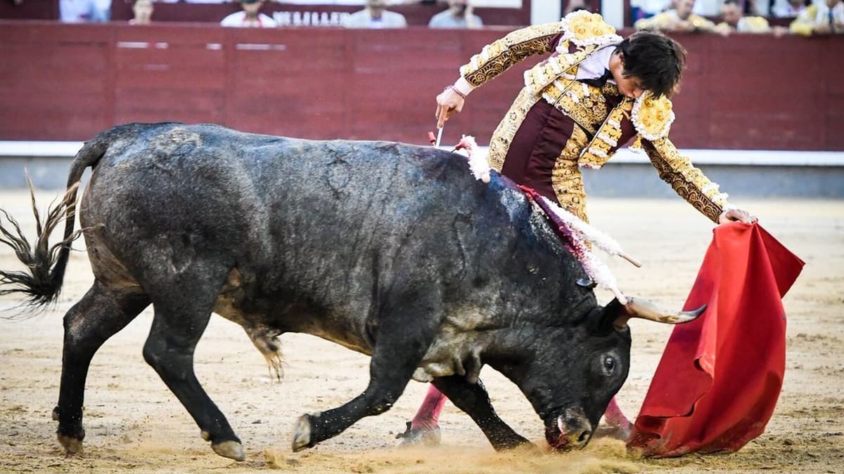 ¡Ya son ilegales las corridas de toros en Quintana Roo!