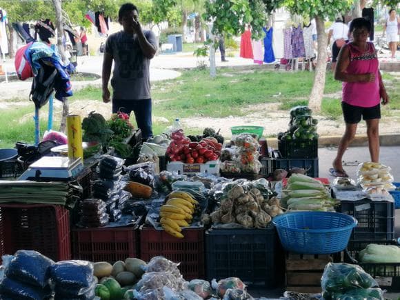 Crean mercadito sabatino los productores de Bacalar en Playa del Carmen
