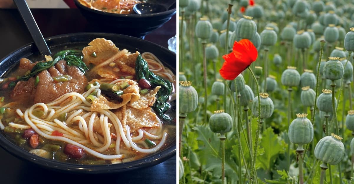 Chef 'aderezaba' con opio platillos para volver adictos a sus clientes