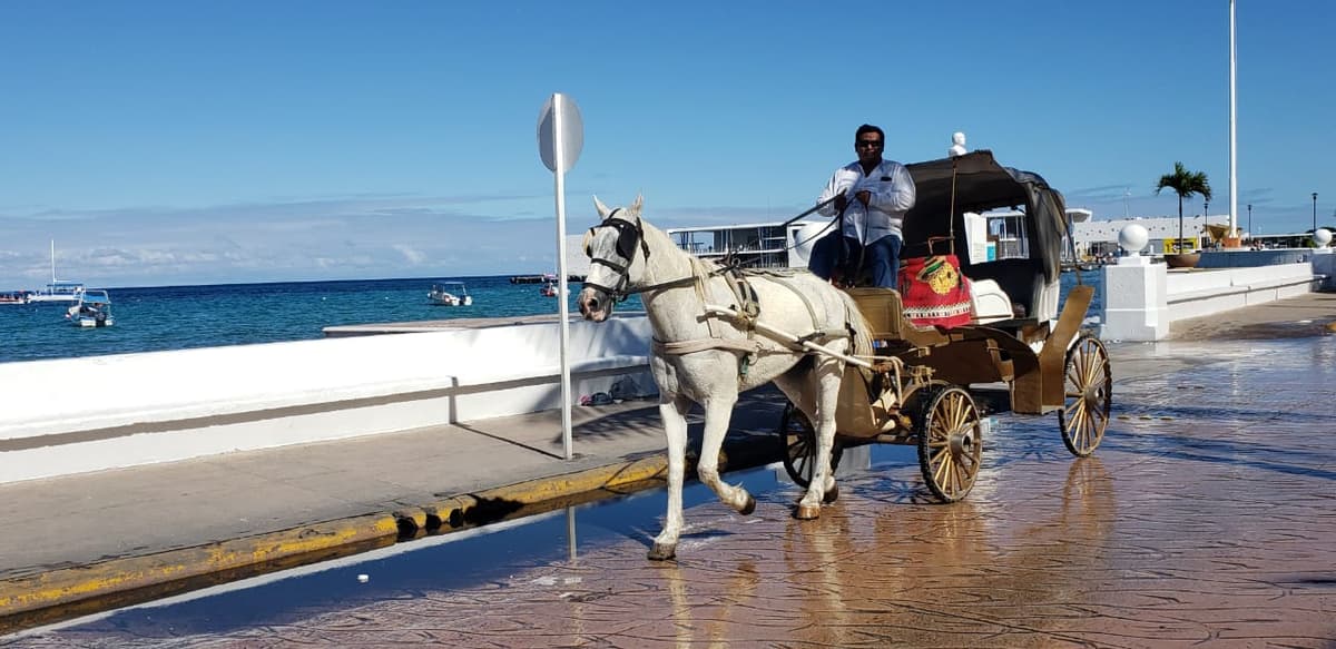 Se accidenta calesa de Cozumel, al perder una llanta