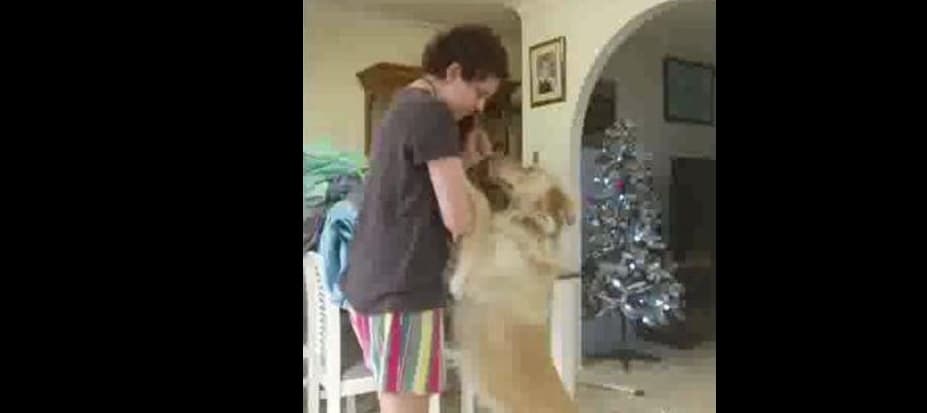 Perro ayuda a joven a controlar su ataque de pánico y se vuelve viral