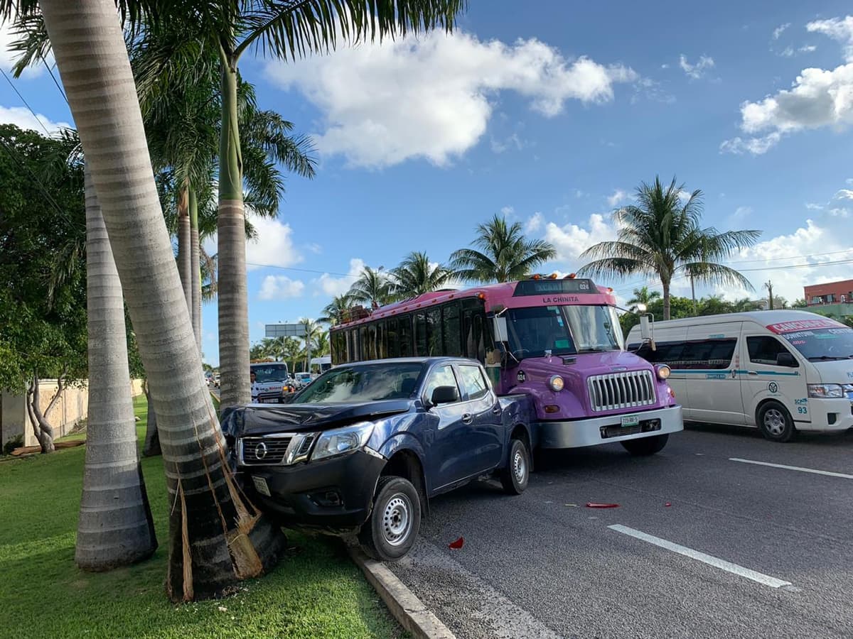Accidente carretero Puerto Morelos-Playa se lleva una palmera