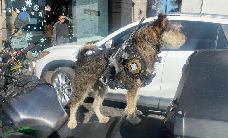 Panadería 'contrata' a perrito como guardia de seguridad
