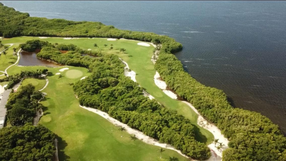 Amparos "tumban" al proyecto ecocida Grand Island: ambientalistas