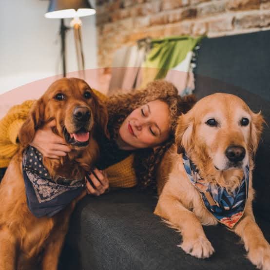 Buscan un cuidador de perritos que quiera ganar ¡70 mil pesos mensuales!