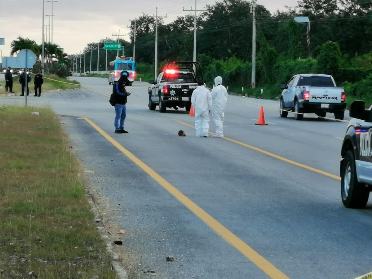 Hallan restos humanos sobre la carretera federal en Puerto Aventuras