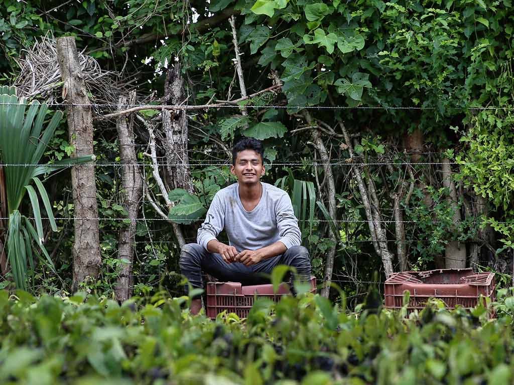 Programa Sembrando Vida llegará a más de un millón de hectáreas en 2020