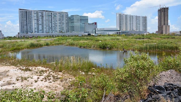 Retorno de predios en Holbox, da esperanzas a empresarios que devastaron Tajamar