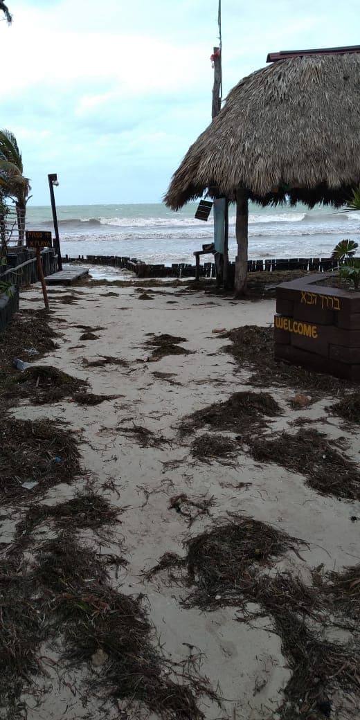Se llena Holbox de sargazo por mal tiempo