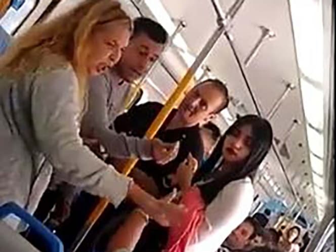 Mujer patea a una perrita sin hogar en un tren y así reaccionan los pasajeros