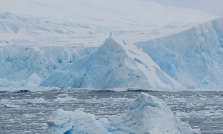 Así se vio el dramático colapso de glaciar en la Antártida