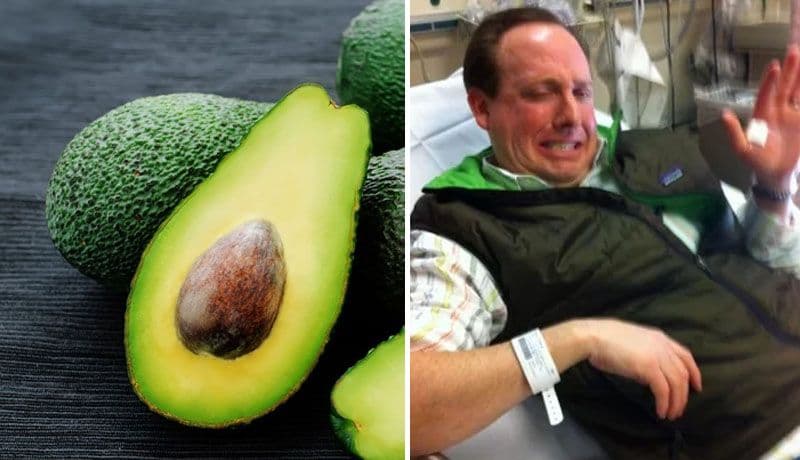 Aguacates causan cerca de 30 mil heridos en Estados Unidos por "malos intentos"
