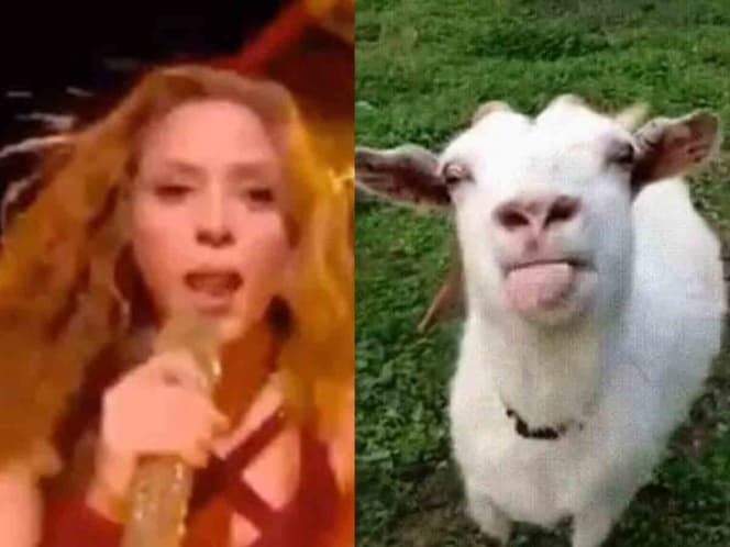 Mira lo mejor del ingenio mexicano tras viralizarse el #ShakiraChallenge