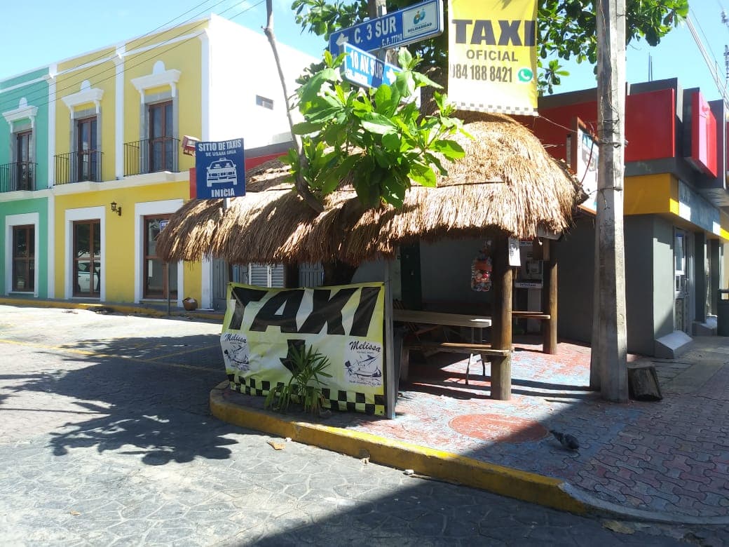 ¡No se paran ni las moscas en la Quinta Avenida a causa del coronavirus!