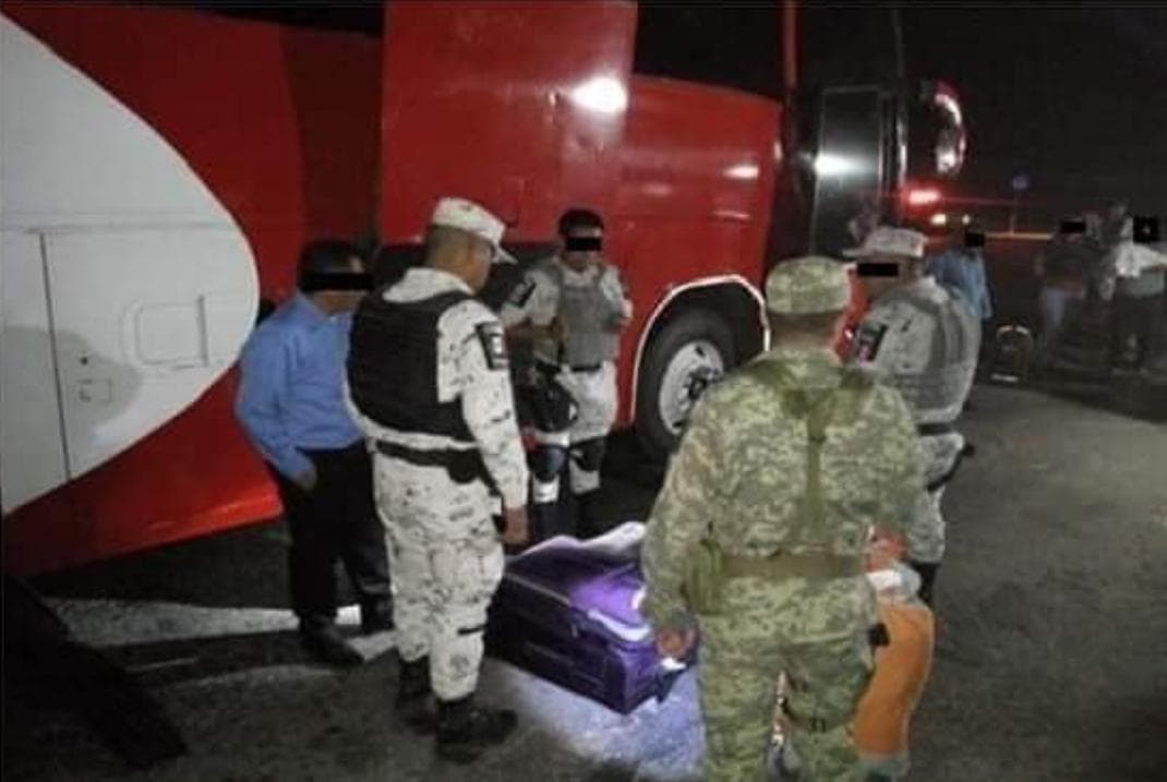 Incautan 19 kilogramos de marihuana en frontera con Campeche
