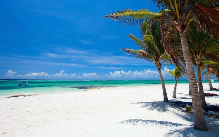 Clima: Soleado con cielo medio nublado 