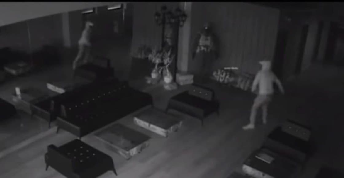 VIDEO: Ladrón sale corriendo para darse la fuga tras asustarse con su reflejo