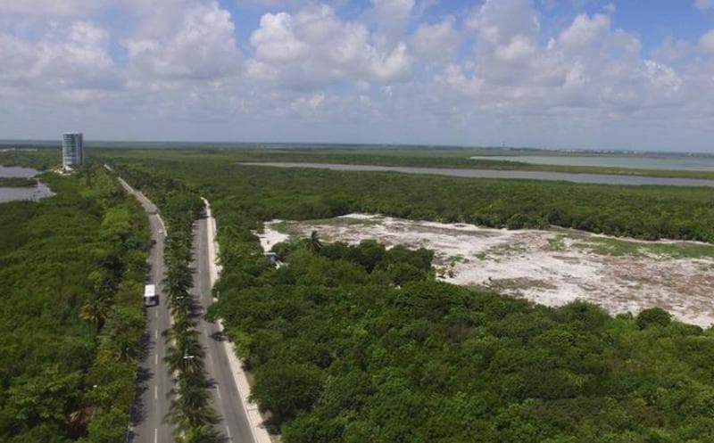 Niños interponen amparo y logran detener obras del hotel Riviera Cancún