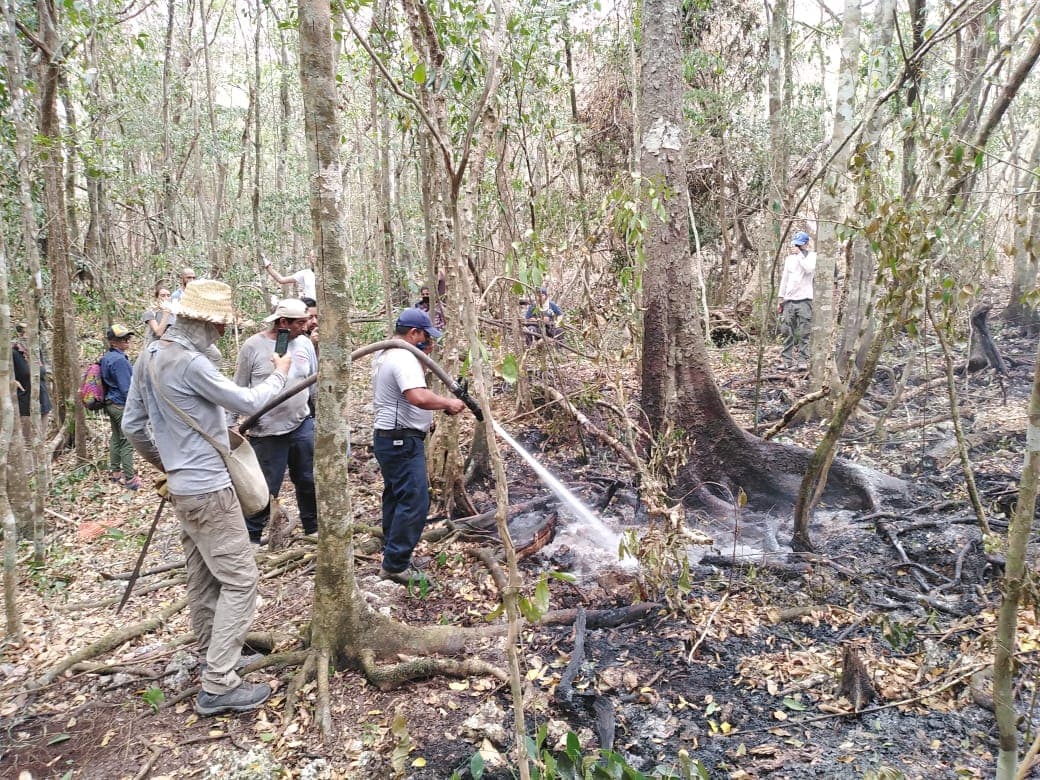 Combaten 18 incendios forestales en Tulum