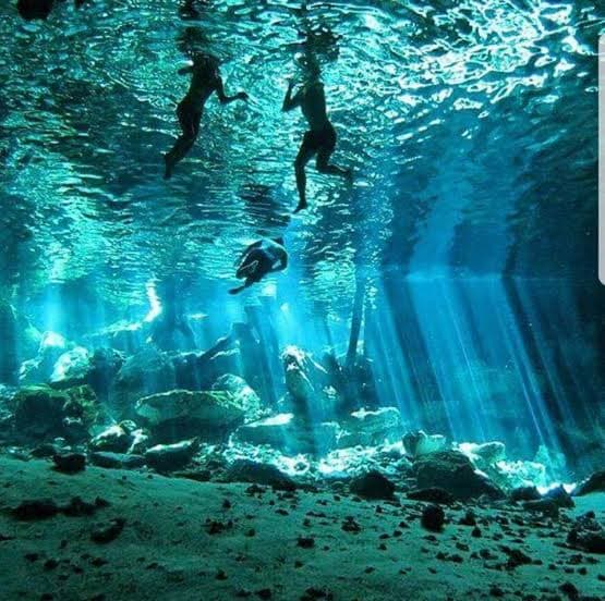 Maravíllate en el cenote Dos Ojos, un misterioso y fascinante paraíso en Tulum