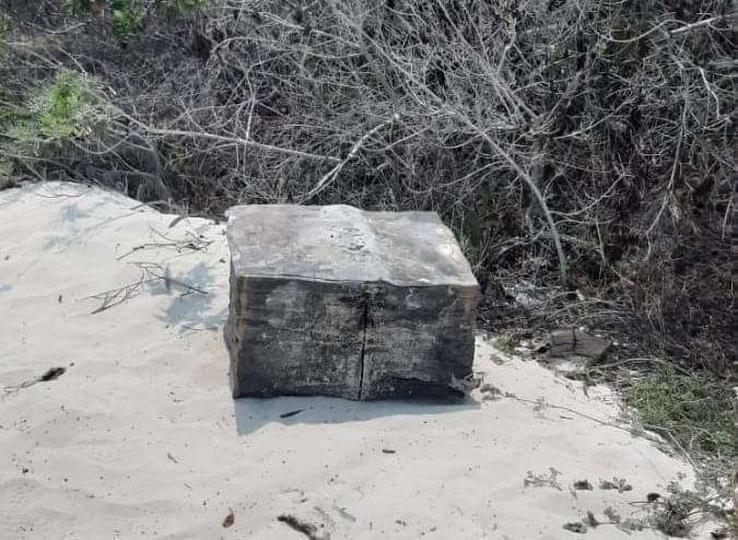 Recalan 50 kilos de cocaína en Playa del Carmen