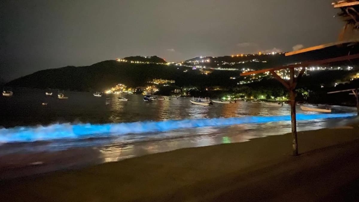 Así brilla el mar de Acapulco por bioluminiscencia es la ¡primera vez en 60 años!
