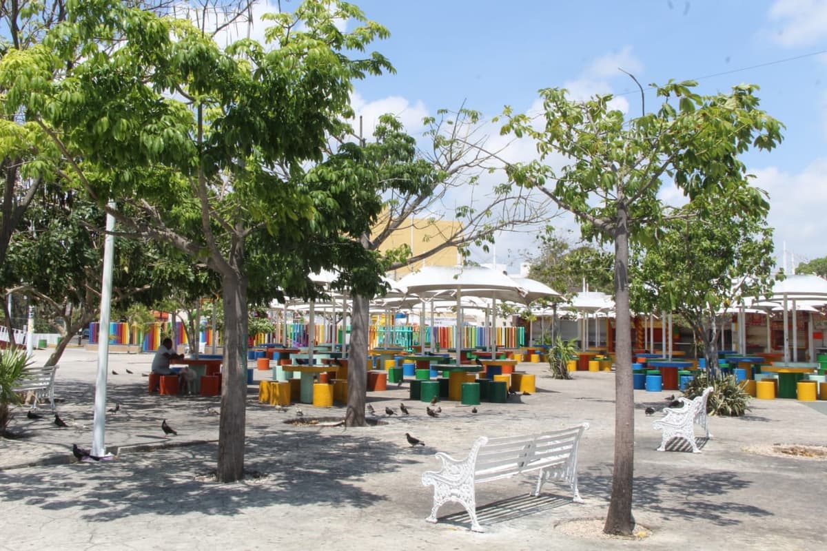 "Muerto" el parque de las Palapas; solo las palomas se pasean