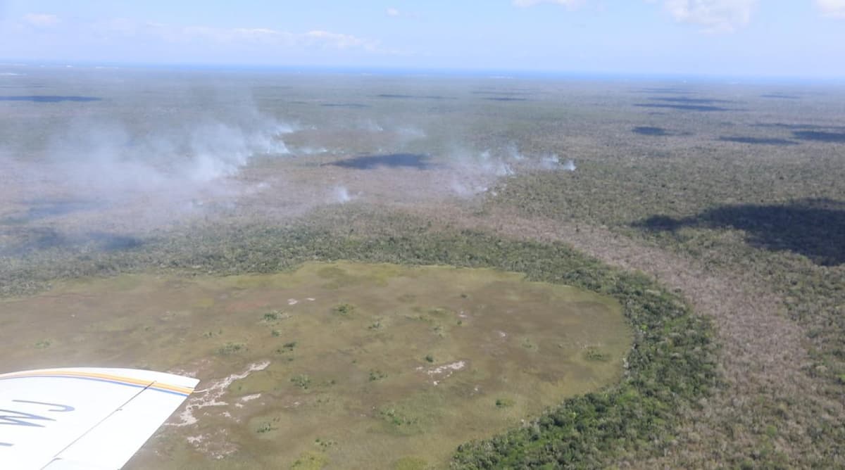 Sin descanso, las acciones para sofocar incendios forestales en Solidaridad