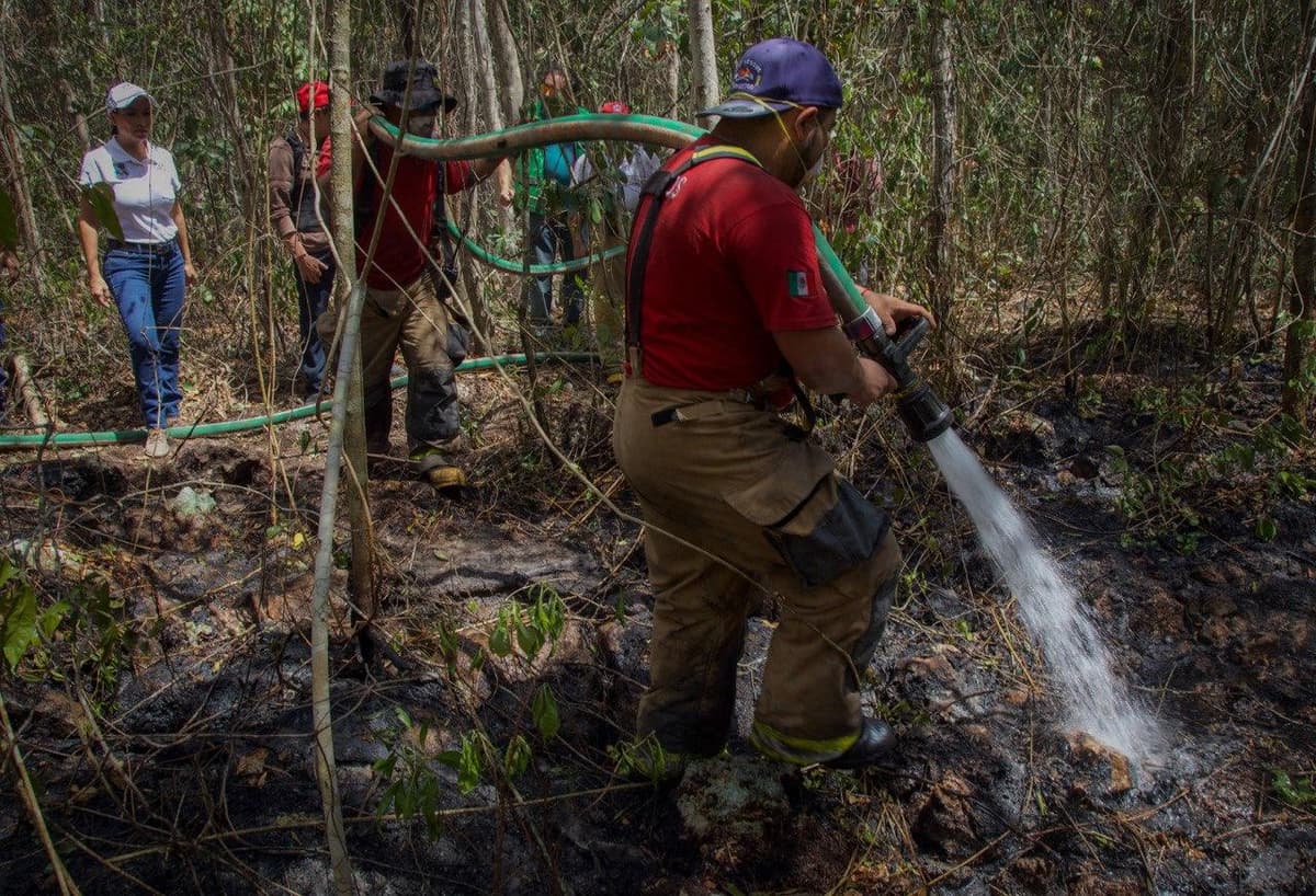 Combaten incendios en la Ruta de los Cenotes