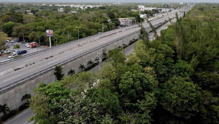 Por Tren Maya se derribarán puentes vehiculares del Moon Palace y Playa del Carmen