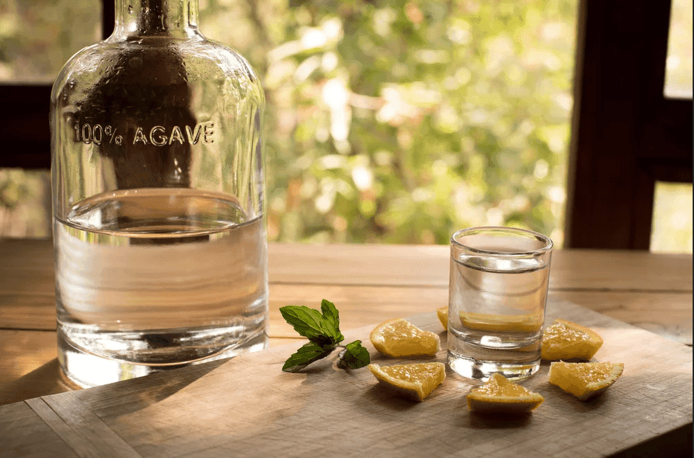 Hacen gel antibacterial con mezcal en Oaxaca