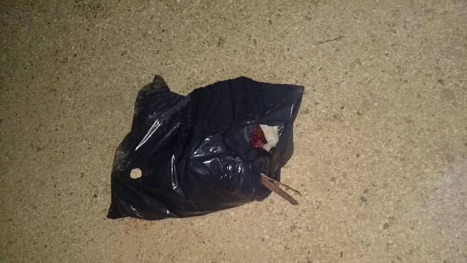 Era yucateca, víctima que fue descuartizada en Playa del Carmen