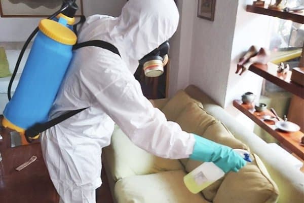 Certificación sanitaria será obligatoria para empresas turísticas en Quintana Roo