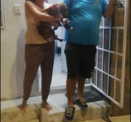 Fiesta en Los Olivos termina con guardia de seguridad golpeado en Playa del Carmen