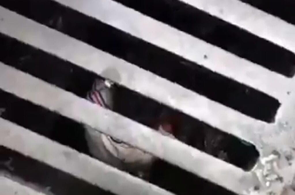 Hombres atrapados dentro de una alcantarilla denuncian ser arrojados intencionalmente