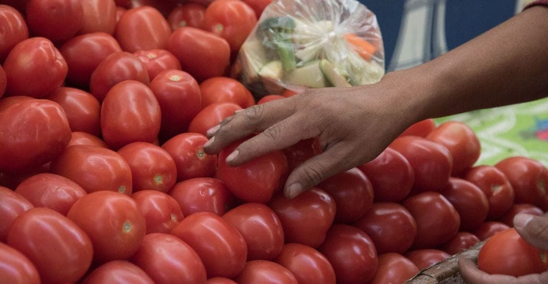 Biotecnólogo de la UANL trabaja en vacuna con jitomates contra el Covid-19