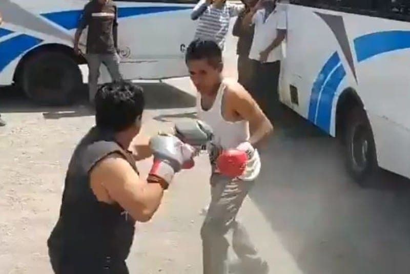 Video: Choferes organizan peleas clandestinas de box en plena pandemia; se viralizan