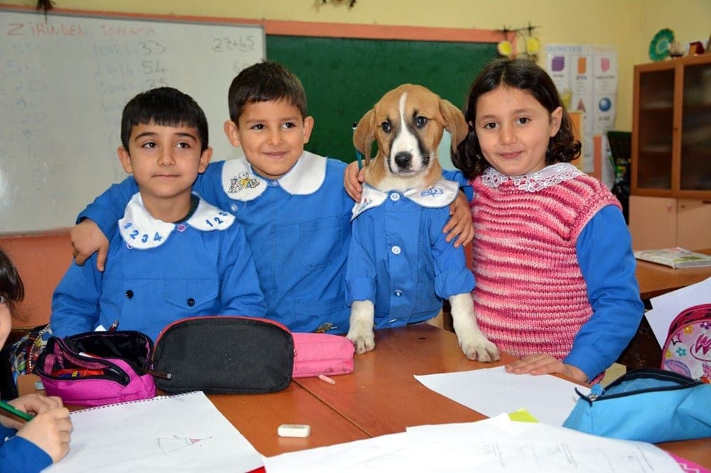 Rescatan a cachorrito y lo convierten en alumno de la escuela