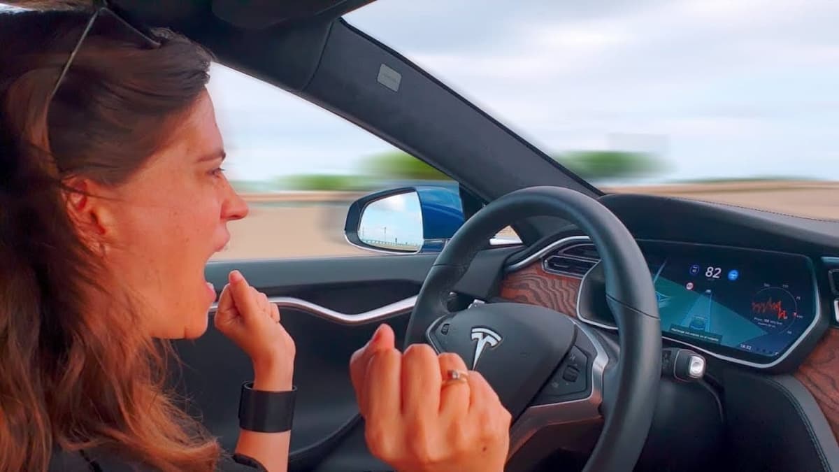 Video: Piloto automático de Tesla evita que cerdo sea atropellado