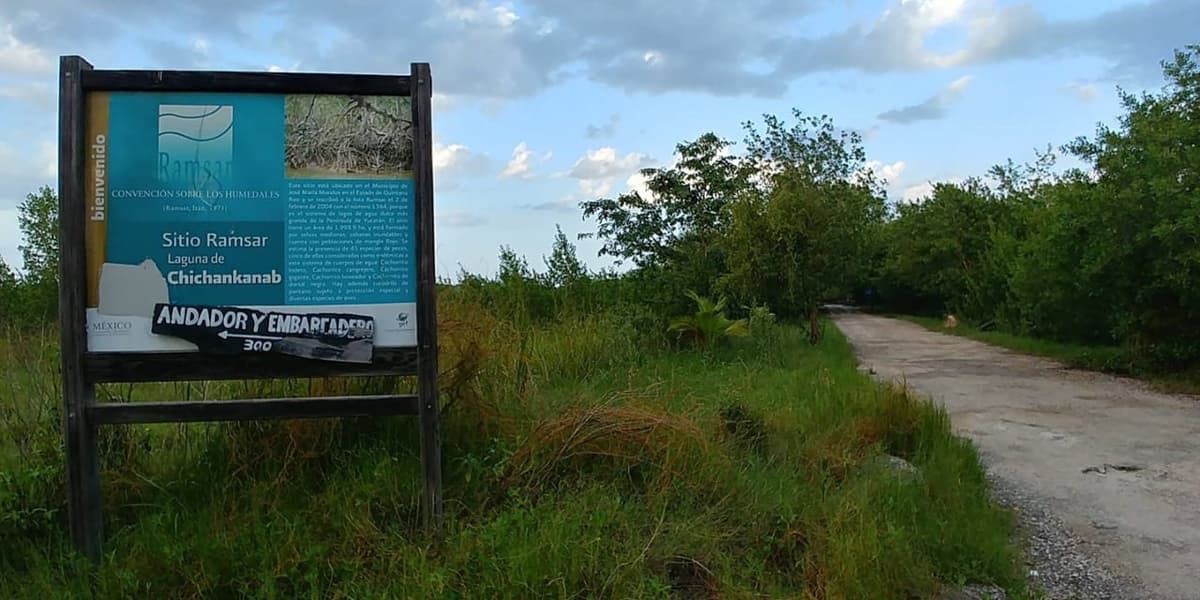 Condenan asociaciones ambientalistas quintanarroenses recorte a Semarnat y Conanp