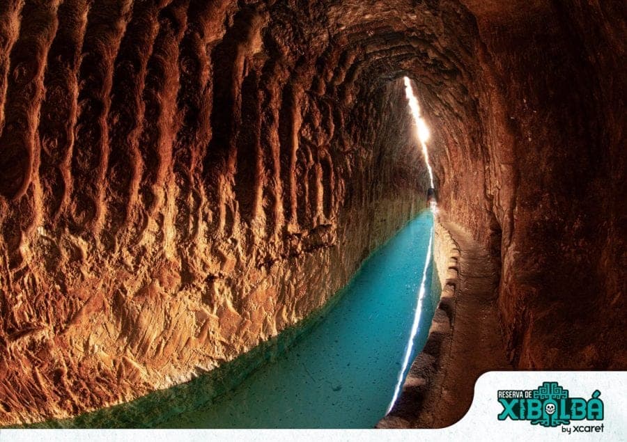 FOTOS: Descubre Reserva de Xibalbá, el nuevo parque de Grupo Xcaret en Yucatán