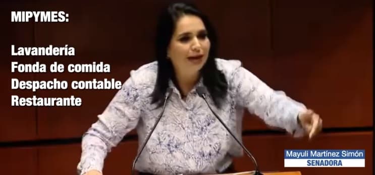 En el PAN sí hay prisa por ayudar a los mexicanos: Mayuli Martínez