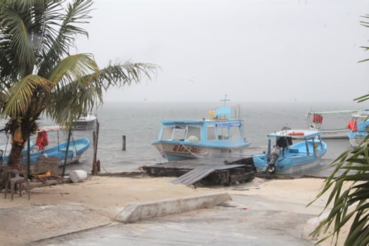 Empiezan a reactivarse cooperativas turísticas en Puerto Juárez, Cancún