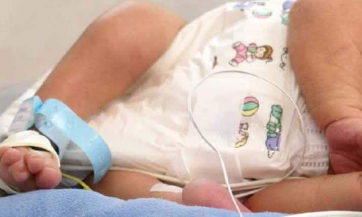 Muere recién nacida tras ser abandonada en un hormiguero